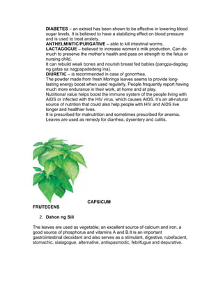DIABETES – an extract has been shown to be effective in lowering blood
      sugar levels. It is believed to have a stabilizing effect on blood pressure
      and is used to treat anxiety.
      ANTHELMINTIC/PURGATIVE – able to kill intestinal worms.
      LACTAGOGUE – believed to increase woman’s milk production. Can do
      much to preserve the mother’s health and pass on strength to the fetus or
      nursing child.
      It can rebuild weak bones and nourish breast fed babies (pangpa-dagdag
      ng gatas sa nagpapadedeng ina).
      DIURETIC – is recommended in case of gonorrhea.
      The powder made from fresh Moringa leaves seems to provide long-
      lasting energy boost when used regularly. People frequently report having
      much more endurance in their work, at home and at play.
      Nutritional value helps boost the immune system of the people living with
      AIDS or infected with the HIV virus, which causes AIDS. It’s an all-natural
      source of nutrition that could also help people with HIV and AIDS live
      longer and healthier lives.
      It is prescribed for malnutrition and sometimes prescribed for anemia.
      Leaves are used as remedy for diarrhea, dysentery and colitis.




                            CAPSICUM
FRUTECENS

   2. Dahon ng Sili

The leaves are used as vegetable; an excellent source of calcium and iron, a
good source of phosphorus and vitamins A and B.It is an important
gastrointestinal deoxidant and also serves as a stimulant, digestive, rubefacient,
stomachic, sialagogue, alternative, antispasmodic, febrifugue and depurative.
 