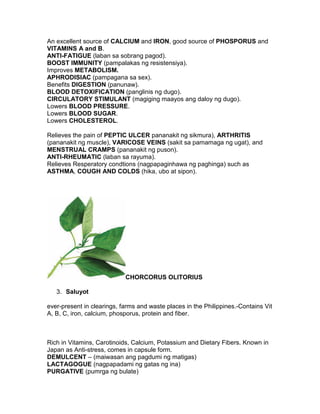 An excellent source of CALCIUM and IRON, good source of PHOSPORUS and
VITAMINS A and B.
ANTI-FATIGUE (laban sa sobrang pagod).
BOOST IMMUNITY (pampalakas ng resistensiya).
Improves METABOLISM.
APHRODISIAC (pampagana sa sex).
Benefits DIGESTION (panunaw).
BLOOD DETOXIFICATION (panglinis ng dugo).
CIRCULATORY STIMULANT (magiging maayos ang daloy ng dugo).
Lowers BLOOD PRESSURE.
Lowers BLOOD SUGAR.
Lowers CHOLESTEROL.

Relieves the pain of PEPTIC ULCER pananakit ng sikmura), ARTHRITIS
(pananakit ng muscle), VARICOSE VEINS (sakit sa pamamaga ng ugat), and
MENSTRUAL CRAMPS (pananakit ng puson).
ANTI-RHEUMATIC (laban sa rayuma).
Relieves Resperatory condtions (nagpapaginhawa ng paghinga) such as
ASTHMA, COUGH AND COLDS (hika, ubo at sipon).




                            CHORCORUS OLITORIUS

   3. Saluyot

ever-present in clearings, farms and waste places in the Philippines.-Contains Vit
A, B, C, iron, calcium, phosporus, protein and fiber.



Rich in Vitamins, Carotinoids, Calcium, Potassium and Dietary Fibers. Known in
Japan as Anti-stress, comes in capsule form.
DEMULCENT – (maiwasan ang pagdumi ng matigas)
LACTAGOGUE (nagpapadami ng gatas ng ina)
PURGATIVE (pumrga ng bulate)
 