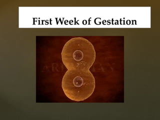 First Week of Gestation
 