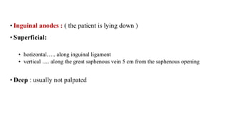 • Inguinal anodes : ( the patient is lying down )
• Superficial:
• horizontal….. along inguinal ligament
• vertical …. along the great saphenous vein 5 cm from the saphenous opening
• Deep : usually not palpated
 