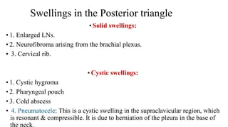 Swellings in the Posterior triangle
• Solid swellings:
• 1. Enlarged LNs.
• 2. Neurofibroma arising from the brachial plexus.
• 3. Cervical rib.
• Cystic swellings:
• 1. Cystic hygroma
• 2. Pharyngeal pouch
• 3. Cold abscess
• 4. Pneumatocele: This is a cystic swelling in the supraclavicular region, which
is resonant & compressible. It is due to herniation of the pleura in the base of
the neck.
 