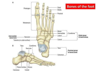 Obstructed ( large or
small bowel)
Strangulated
 