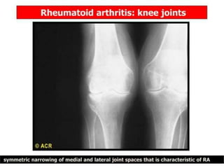 ‫السماء‬ ‫بوابة‬ ‫القدس‬
 