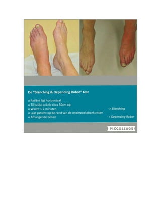 Respiratory Examination
Dr. Mohammad A.M. Jaradat
AlQuds University
Faculty of Medicine
Internal Medicine Department
August 2024
 