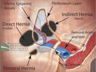 Inspection: Chest
• Look at the shape of the chest
• Look for scars, swellings, tattoo marks and
spots on the skin
• Look for vascular anomalies
 