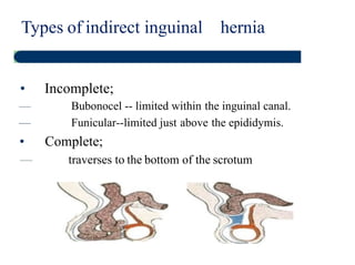 Tactile vocal fremitus: posteriorly
 