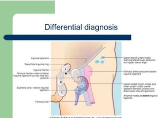 Finishing Up Your Examination
Thank the patient, explain that the
examination is now over and invite him to
dress
 