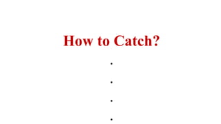 Loading…
How to Catch?
.
.
.
.
 