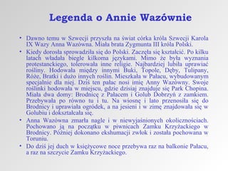 Legenda o Annie Wazównie
• Dawno temu w Szwecji przyszła na świat córka króla Szwecji Karola
IX Wazy Anna Wazówna. Miała brata Zygmunta III króla Polski.
• Kiedy dorosła sprowadziła się do Polski. Zaczęła się kształcić. Po kilku
latach władała biegle kilkoma językami. Mimo że była wyznania
protestanckiego, tolerowała inne religie. Najbardziej lubiła uprawiać
rośliny. Hodowała między innymi Buki, Topole, Dęby, Tulipany,
Róże, Bratki i dużo innych roślin. Mieszkała w Pałacu, wybudowanym
specjalnie dla niej. Dziś ten pałac nosi imię Anny Wazówny. Swoje
roślinki hodowała w miejscu, gdzie dzisiaj znajduje się Park Chopina.
Miała dwa domy: Brodnicę z Pałacem i Golub Dobrzyń z zamkiem.
Przebywała po równo tu i tu. Na wiosnę i lato przenosiła się do
Brodnicy i uprawiała ogródek, a na jesieni i w zimę znajdowała się w
Golubiu i dokształcała się.
• Anna Wazówna zmarła nagle i w niewyjaśnionych okolicznościach.
Pochowano ją na początku w piwnicach Zamku Krzyżackiego w
Brodnicy. Później dokonano ekshumacji zwłok i została pochowana w
Toruniu.
• Do dziś jej duch w księżycowe noce przebywa raz na balkonie Pałacu,
a raz na szczycie Zamku Krzyżackiego.

 