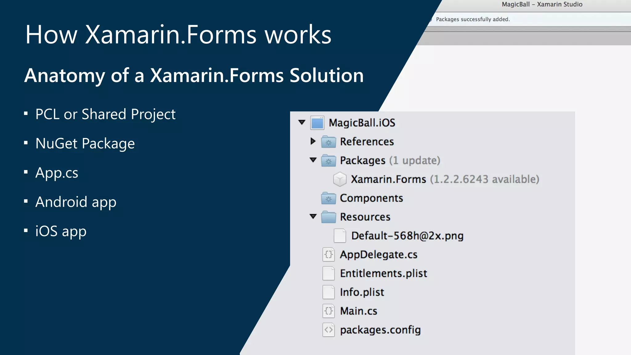 How Xamarin.Forms works 
Anatomy of a Xamarin.Forms Solution 
■ PCL or Shared Project 
■ NuGet Package 
■ App.cs 
■ Android app 
■ iOS app 
 