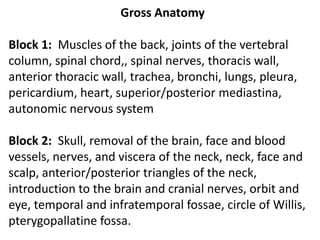 Gross AnatomyBlock 1:  Muscles of the back, joints of the vertebral column, spinal chord,, spinal nerves, thoracis wall, anterior thoracic wall, trachea, bronchi, lungs, pleura, pericardium, heart, superior/posterior mediastina, autonomic nervous systemBlock 2:  Skull, removal of the brain, face and blood vessels, nerves, and viscera of the neck, neck, face and scalp, anterior/posterior triangles of the neck, introduction to the brain and cranial nerves, orbit and eye, temporal and infratemporal fossae, circle of Willis, pterygopallatine fossa.
