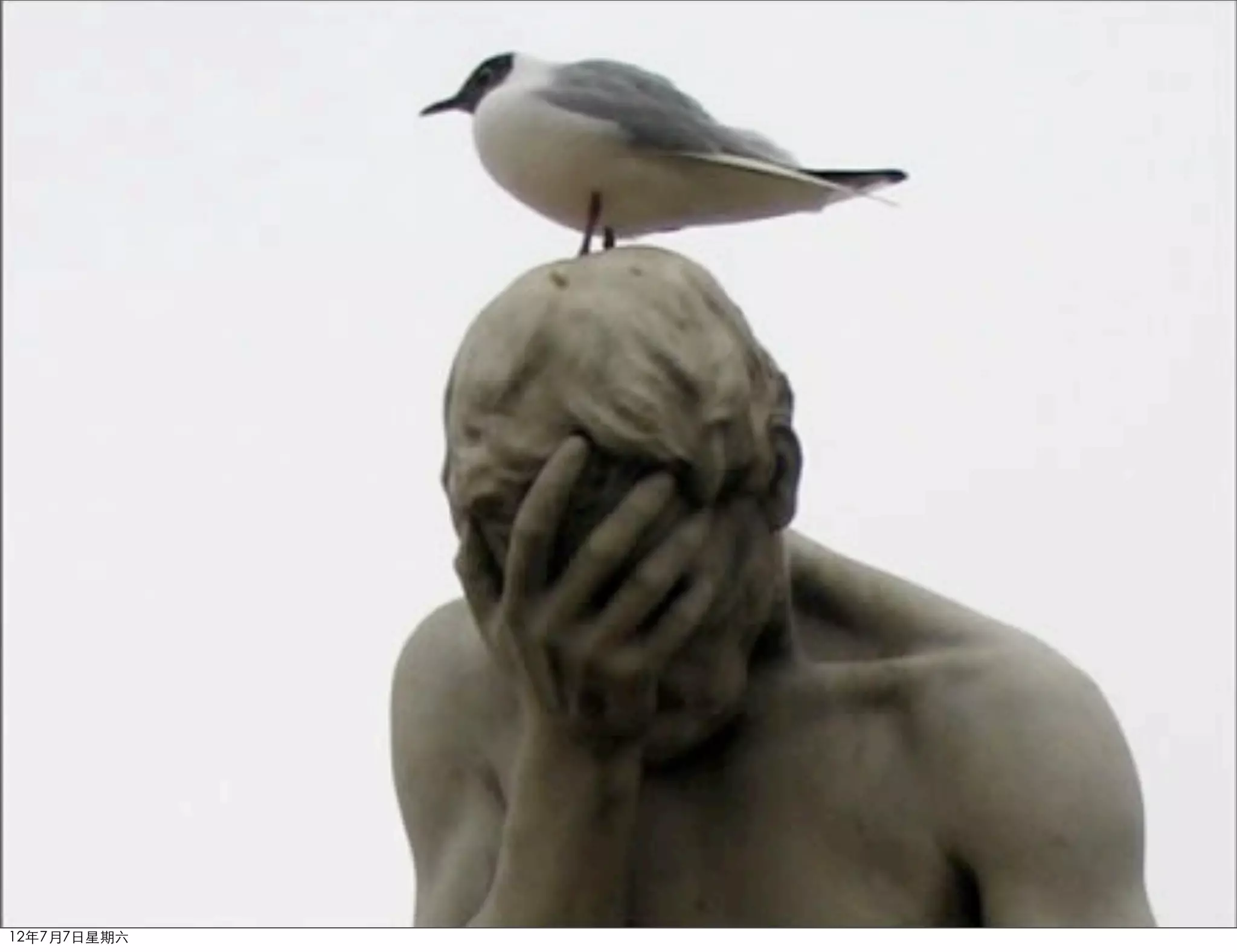 12年7月7日星期六
 