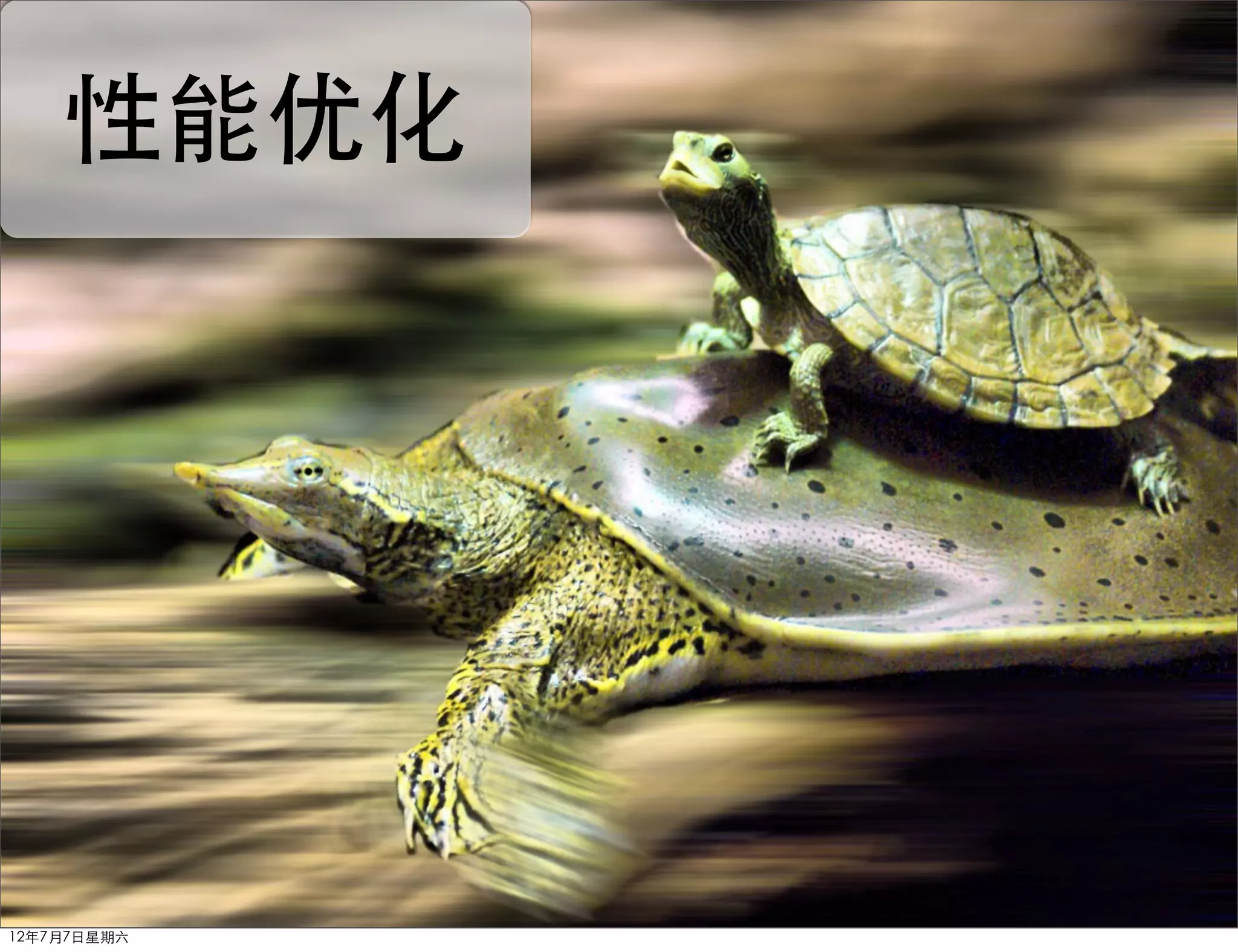 性能优化


         性能优化



12年7月7日星期六
 