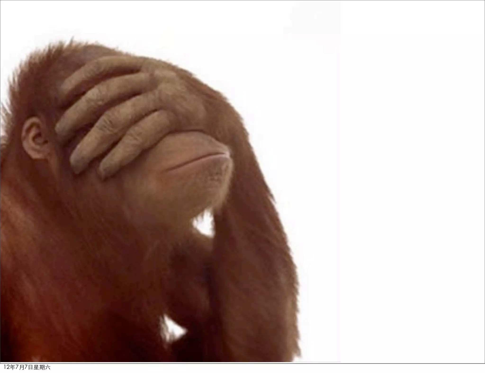 12年7月7日星期六
 