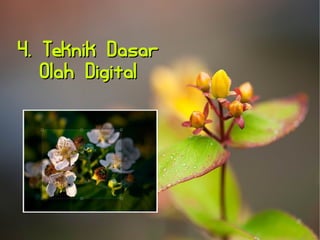 44.. TTeekknniikk DDaassaarr 
OOllaahh DDiiggiittaall 
 