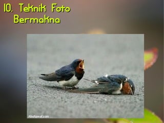 1100.. TTeekknniikk FFoottoo 
BBeerrmmaakknnaa 
 