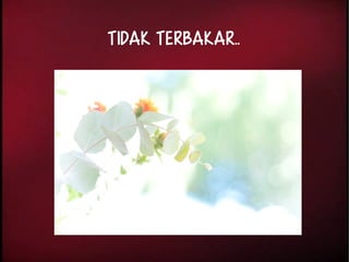Tidak terbakar.. 
 