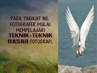 Pada tingkat ini, 
fotografer mulai 
MEMPELAJARI 
TEKNIK-TEKNIK 
DASAR fotografi.. 
 