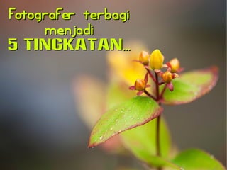 FFoottooggrraaffeerr tteerrbbaaggii 
mmeennjjaaddii 
55 TTIINNGGKKAATTAANN...... 
 