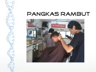 pangkas rambut 
 
