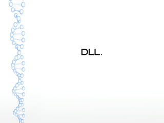 dll. 
 