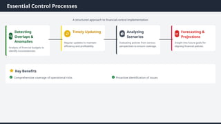 Financial Controls Framework Examples Comprehensive Fiscal Control and Accountability: Principles, Frameworks ...