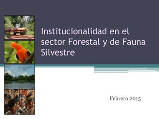 Institucionalidad en el
sector Forestal y de Fauna
Silvestre
Febrero 2015
 