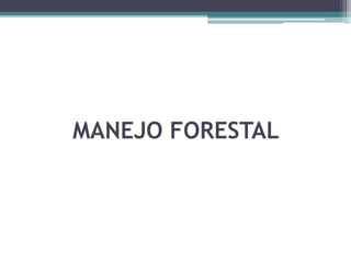 MANEJO FORESTAL
 