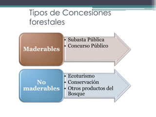 Tipos de Concesiones
forestales
• Subasta Pública
• Concurso Público
Maderables
• Ecoturismo
• Conservación
• Otros productos del
Bosque
No
maderables
 