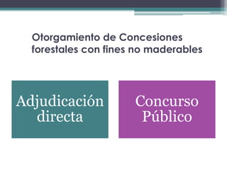 Otorgamiento de Concesiones
forestales con fines no maderables
Adjudicación
directa
Concurso
Público
 