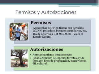 Permisos y Autorizaciones
Permisos
• Aprovechar RRFF en tierras con derechos
(CCNN, privados), bosques secundarios, etc.
• DA de acuerdo a RM MINAGRI (Valor al
Estado Natural)
Autorizaciones
• Aprovechamiento bosques secos
• Establecimiento de especies forestales y de
flora con fines de propagación, conservación,
dif. cultural.
 