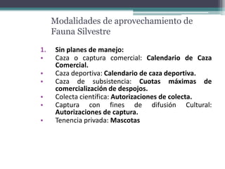 Modalidades de aprovechamiento de
Fauna Silvestre
1. Sin planes de manejo:
• Caza o captura comercial: Calendario de Caza
Comercial.
• Caza deportiva: Calendario de caza deportiva.
• Caza de subsistencia: Cuotas máximas de
comercialización de despojos.
• Colecta científica: Autorizaciones de colecta.
• Captura con fines de difusión Cultural:
Autorizaciones de captura.
• Tenencia privada: Mascotas
 