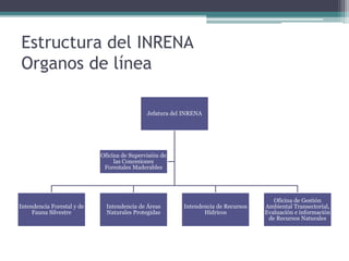 Estructura del INRENA
Organos de línea
Jefatura del INRENA
Intendencia Forestal y de
Fauna Silvestre
Intendencia de Áreas
Naturales Protegidas
Intendencia de Recursos
Hídricos
Oficina de Gestión
Ambiental Transectorial,
Evaluación e información
de Recursos Naturales
Oficina de Supervisión de
las Concesiones
Forestales Maderables
 