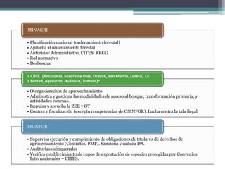 • Planificación nacional (ordenamiento forestal)
• Aprueba el ordenamiento forestal
• Autoridad Administrativa CITES, RRGG
• Rol normativo
• Desbosque
MINAGRI
• Otorga derechos de aprovechamiento
• Administra y gestiona las modalidades de acceso al bosque, transformación primaria, y
actividades conexas.
• Impulsa y aprueba la ZEE y OT
• Control y fiscalización (excepto competencias de OSINFOR). Lucha contra la tala ilegal
GORE (Amazonas, Madre de Dios, Ucayali, San Martín, Loreto, La
Libertad, Ayacucho, Huánuco, Tumbes)*
• Supervisa ejecución y cumplimiento de obligaciones de titulares de derechos de
aprovechamiento (Contratos, PMF). Sanciona y caduca DA.
• Auditorias quinquenales
• Verifica establecimiento de cupos de exportación de especies protegidas por Convenios
Internacionales – CITES.
OSINFOR
 