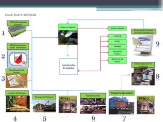 Aprovechamiento
PC (r) 1
OSINFOR
SUNAT
PC (r) 2
GR Ordenamiento
Forestal
GR Otorgamiento
Titulo Habilitante
Planificación del
bosque
Titular PGMF/POA
Gestión del Bosque
Transporte Primario
Transformación
Transporte Secundario
Comercialización de
productos
Renovación/Termino
del Titulo Habilitante
Gobierno Regional
DGFFS-MINAGRI
MINAM
Ministerio
Público
Ministerio del
Interior
Incluye exportación
Autoridades
Forestales
Fuente DGFFS-MINAGRI
 