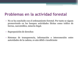 Problemas en la actividad forestal
• No se ha concluido con el ordenamiento forestal. Por tanto se siguen
promoviendo en los bosques actividades ilícitas como tráfico de
tierras, narcotráfico, minería ilegal.
• Superposición de derechos
• Sistemas de transparencia, información e interconexión entre
autoridades de la cadena, es aún débil e insuficiente
 