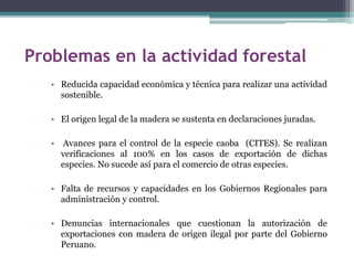 Problemas en la actividad forestal
• Reducida capacidad económica y técnica para realizar una actividad
sostenible.
• El origen legal de la madera se sustenta en declaraciones juradas.
• Avances para el control de la especie caoba (CITES). Se realizan
verificaciones al 100% en los casos de exportación de dichas
especies. No sucede así para el comercio de otras especies.
• Falta de recursos y capacidades en los Gobiernos Regionales para
administración y control.
• Denuncias internacionales que cuestionan la autorización de
exportaciones con madera de origen ilegal por parte del Gobierno
Peruano.
 