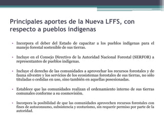 • Incorpora el deber del Estado de capacitar a los pueblos indígenas para el
manejo forestal sostenible de sus tierras.
• Incluye en el Consejo Directivo de la Autoridad Nacional Forestal (SERFOR) a
representantes de pueblos indígenas.
• Incluye el derecho de las comunidades a aprovechar los recursos forestales y de
fauna silvestre y los servicios de los ecosistemas forestales de sus tierras, no sólo
tituladas o cedidas en uso, sino también en aquellas posesionadas.
• Establece que las comunidades realizan el ordenamiento interno de sus tierras
comunales conforme a su cosmovisión.
• Incorpora la posibilidad de que las comunidades aprovechen recursos forestales con
fines de autoconsumo, subsistencia y ecoturismo, sin requerir permiso por parte de la
autoridad.
Principales aportes de la Nueva LFFS, con
respecto a pueblos indígenas
 