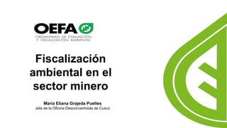 Fiscalización
ambiental en el
sector minero
María Eliana Grajeda Puelles
Jefa de la Oficina Desconcentrada de Cusco
 