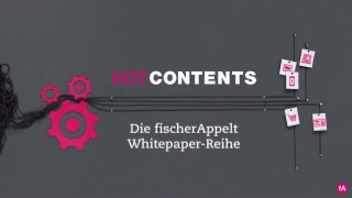 Content Marketing im B2B-
Bereich
Whitepaper-Reihe
HOT CONTENTS
 