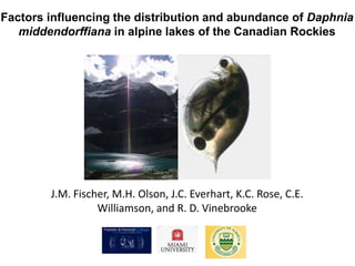 Factors influencing the distribution and abundance of Daphnia
   middendorffiana in alpine lakes of the Canadian Rockies




        J.M. Fischer, M.H. Olson, J.C. Everhart, K.C. Rose, C.E.
                  Williamson, and R. D. Vinebrooke
 