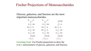 Glucose, galactose, and fructose are the most
important monosaccharides.
Fischer Projections of Monosaccharides
Learning Goal Use Fischer projections to draw the
D or L stereoisomers of glucose, galactose, and fructose.
 