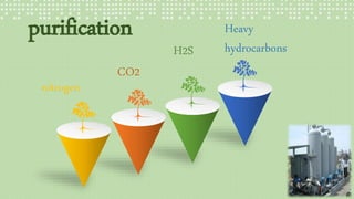 purification
nitrogen
CO2
H2S
Heavy
hydrocarbons
16
 