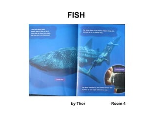 FISH




by Thor   Room 4
 