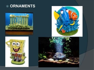  ORNAMENTS
 