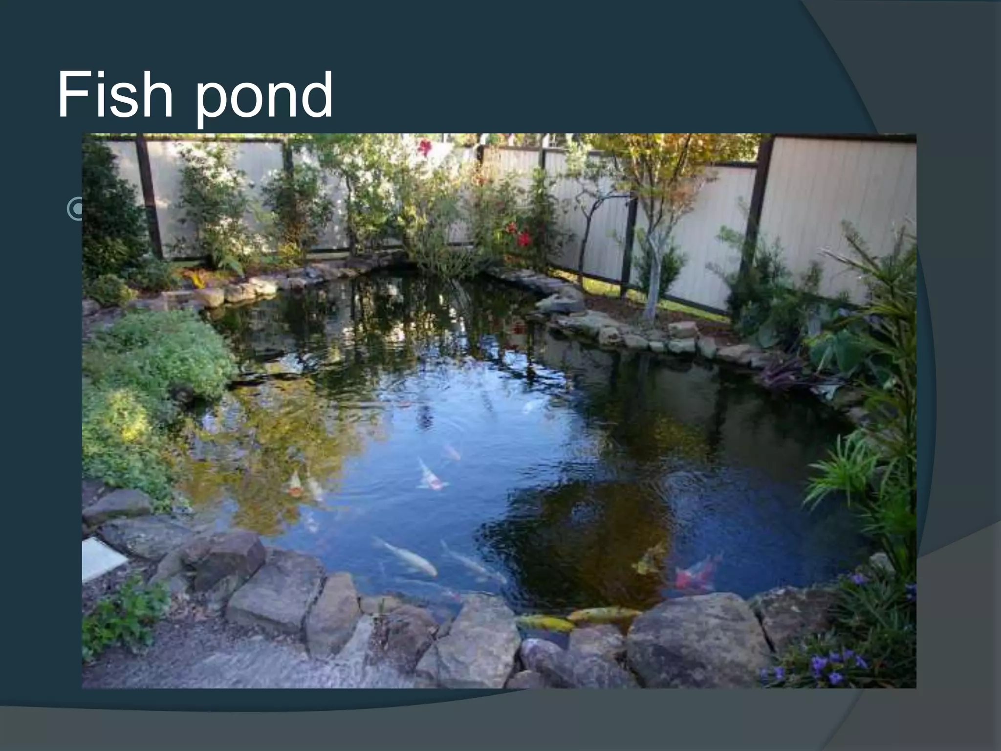 Fish pond
 a controlled pond, artificial lake,
or reservoir that is stocked with fish and
is used in aquaculture for fish farming,
or is used for recreational fishing or for
ornamental purposes.
 