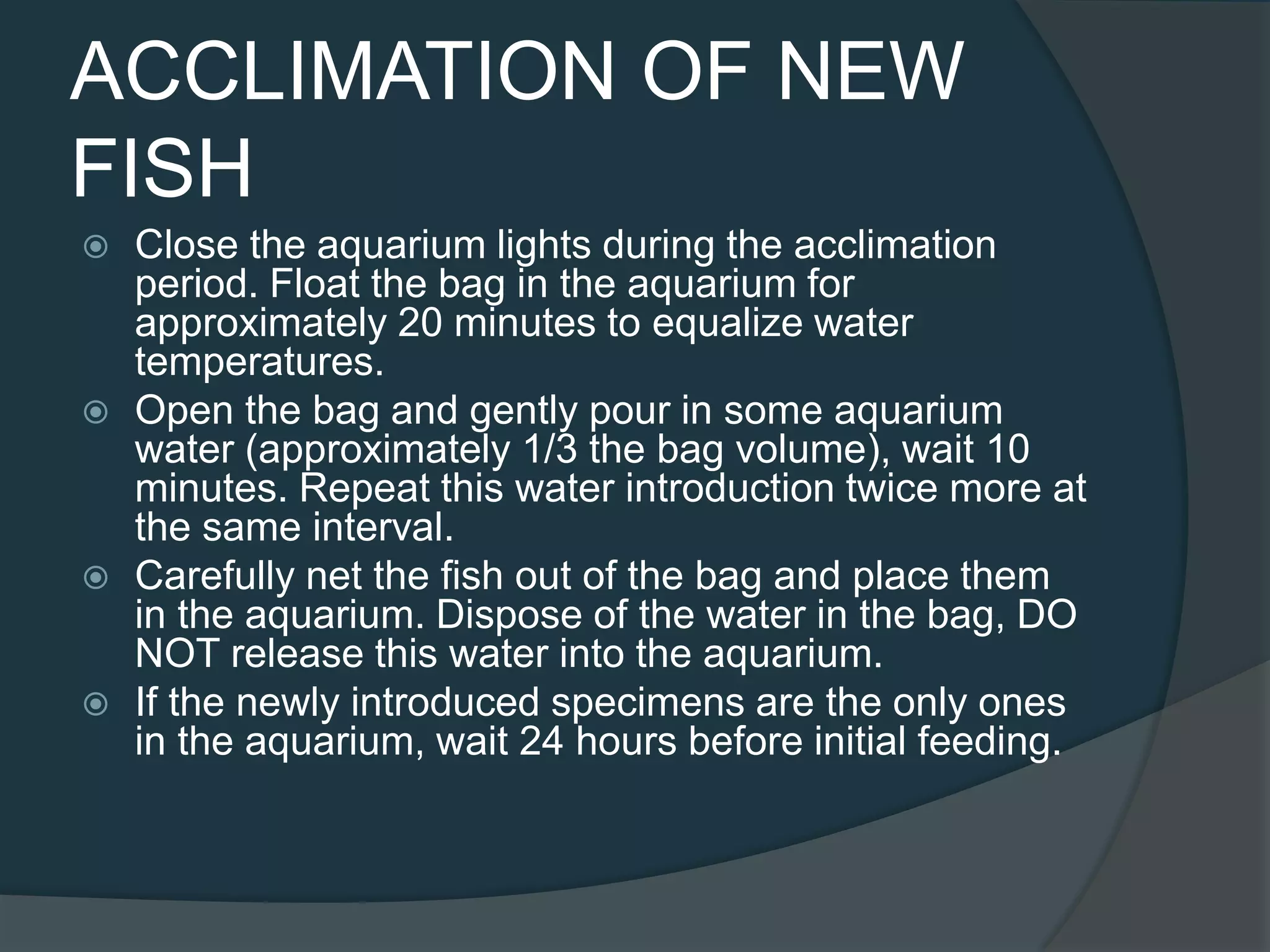 ACCLIMATION OF NEW
FISH
 Close the aquarium lights during the acclimation
period. Float the bag in the aquarium for
approximately 20 minutes to equalize water
temperatures.
 Open the bag and gently pour in some aquarium
water (approximately 1/3 the bag volume), wait 10
minutes. Repeat this water introduction twice more at
the same interval.
 Carefully net the fish out of the bag and place them
in the aquarium. Dispose of the water in the bag, DO
NOT release this water into the aquarium.
 If the newly introduced specimens are the only ones
in the aquarium, wait 24 hours before initial feeding.
 