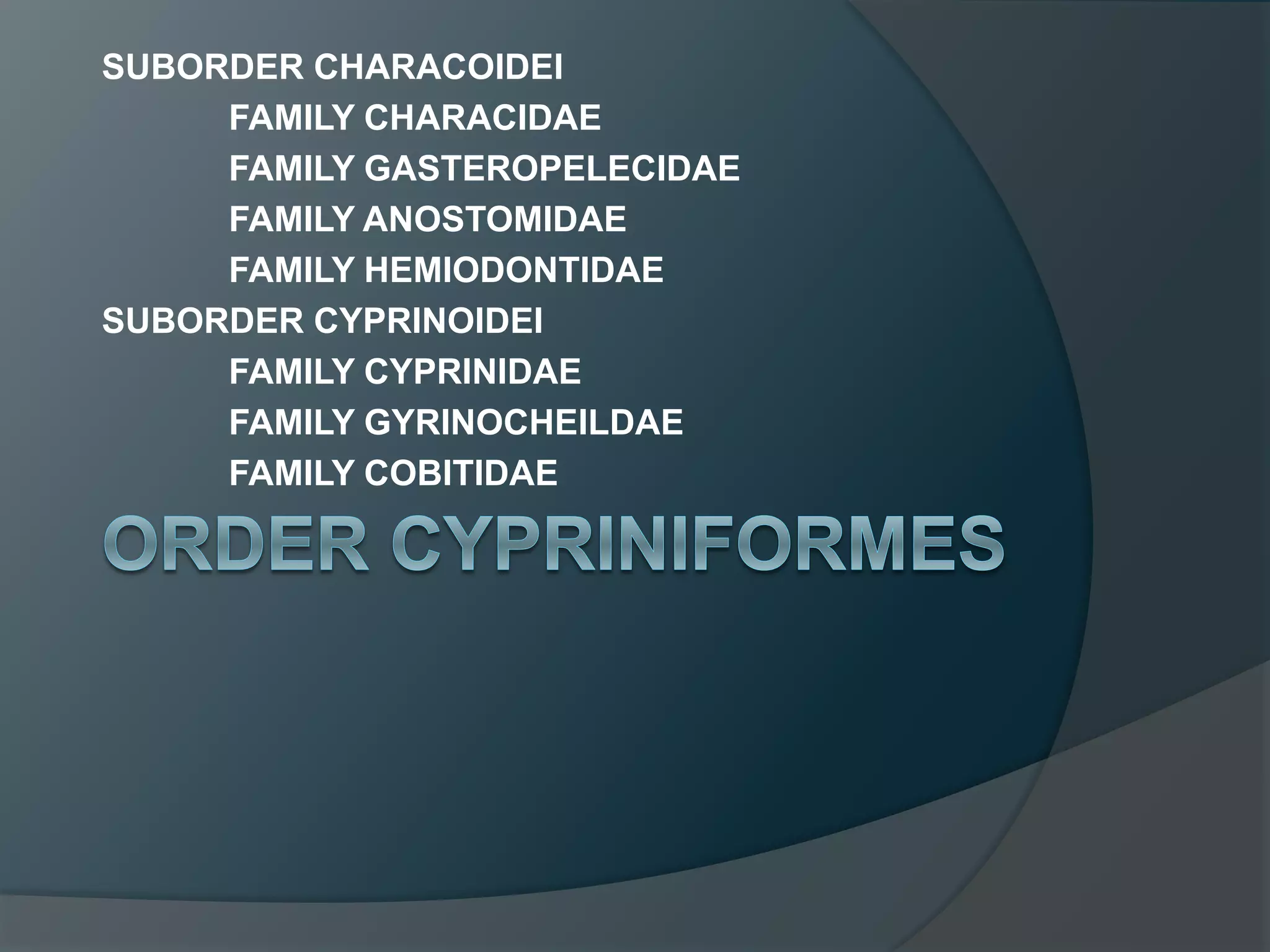 SUBORDER CHARACOIDEI
FAMILY CHARACIDAE
FAMILY GASTEROPELECIDAE
FAMILY ANOSTOMIDAE
FAMILY HEMIODONTIDAE
SUBORDER CYPRINOIDEI
FAMILY CYPRINIDAE
FAMILY GYRINOCHEILDAE
FAMILY COBITIDAE
 