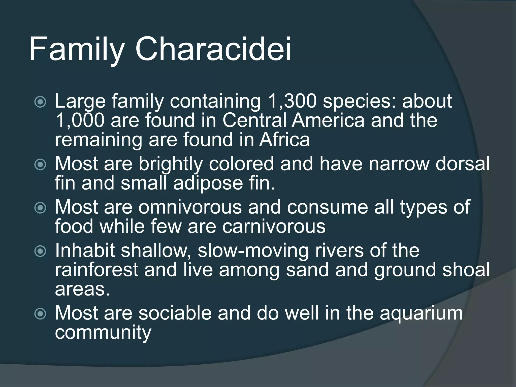 Family Characidei
 Large family containing 1,300 species: about
1,000 are found in Central America and the
remaining are found in Africa
 Most are brightly colored and have narrow dorsal
fin and small adipose fin.
 Most are omnivorous and consume all types of
food while few are carnivorous
 Inhabit shallow, slow-moving rivers of the
rainforest and live among sand and ground shoal
areas.
 Most are sociable and do well in the aquarium
community
 