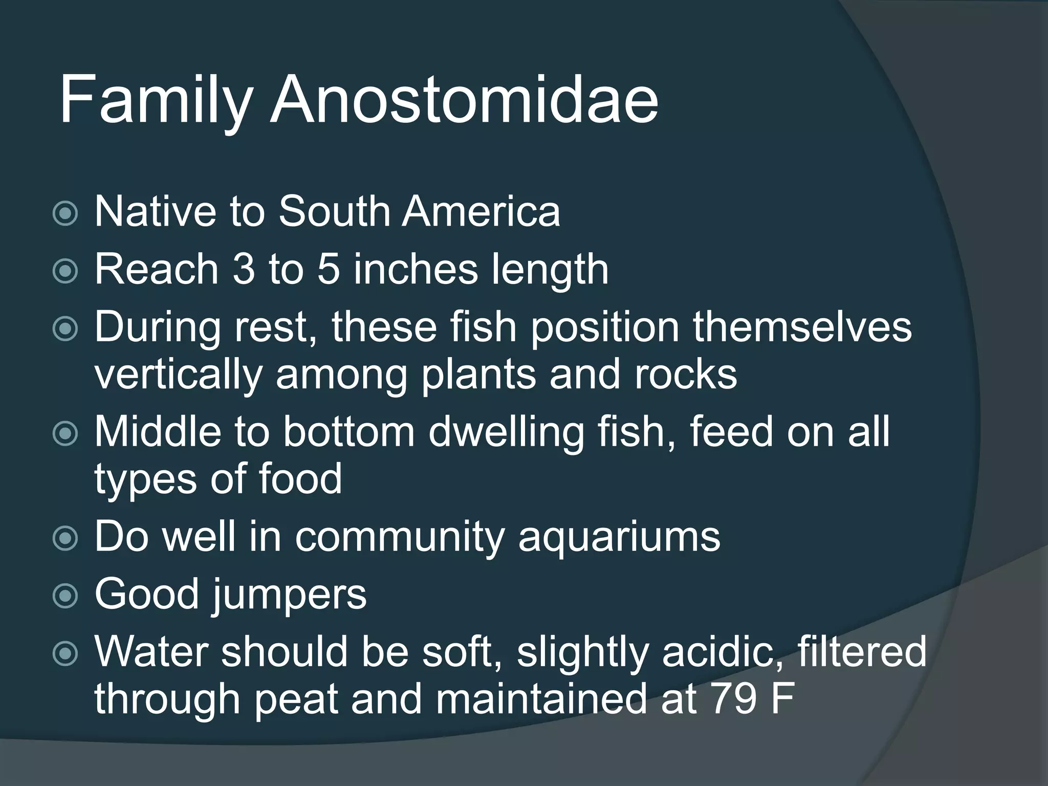 Family Anostomidae
 Native to South America
 Reach 3 to 5 inches length
 During rest, these fish position themselves
vertically among plants and rocks
 Middle to bottom dwelling fish, feed on all
types of food
 Do well in community aquariums
 Good jumpers
 Water should be soft, slightly acidic, filtered
through peat and maintained at 79 F
 